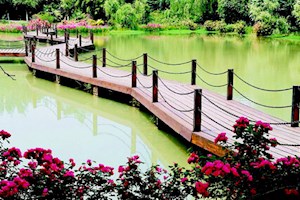 学校风光