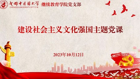 继续教育学院党支部组织开展建设社会主义文化强国主题党课